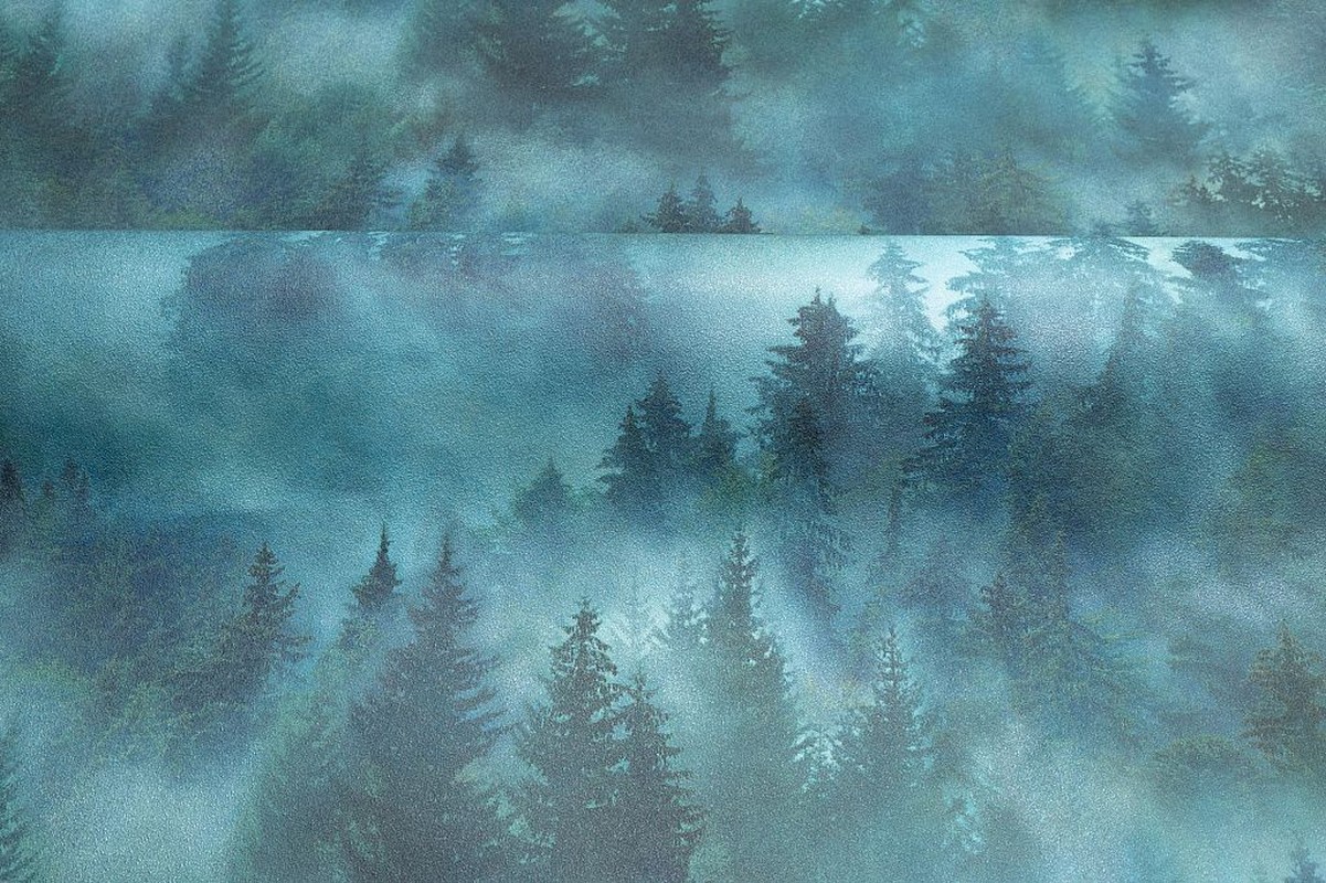 Обои HC71960-67 Palitra Home Color Мой Лес Palitra Home Color коллекция Мой Лес производства РОССИЯ в интернет-магазине Обоитрейд