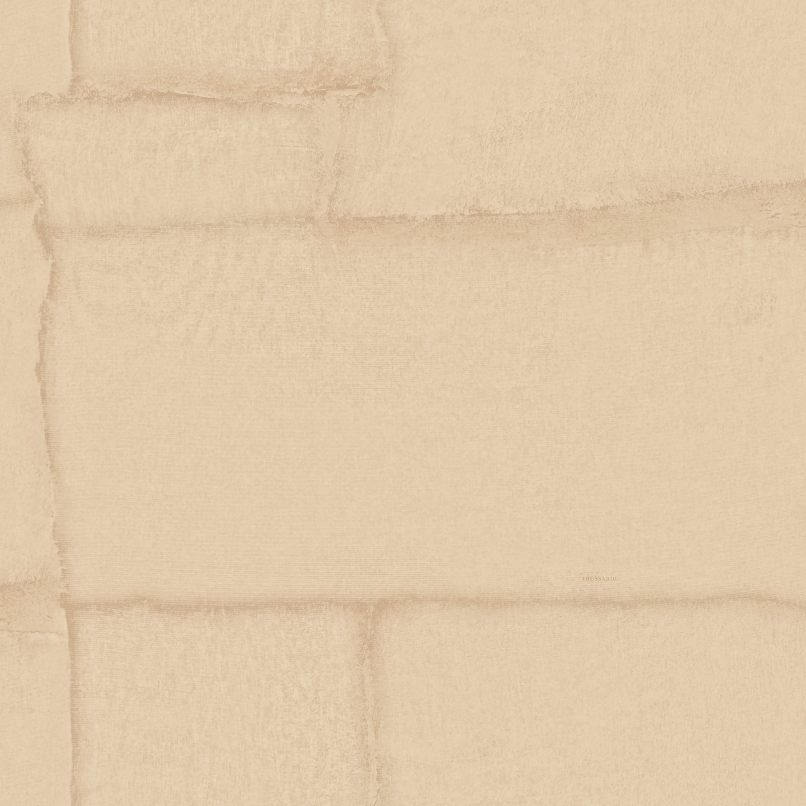 Обои Z30304 Zambaiti Parati Trussardi VIII Zambaiti Parati коллекция Trussardi 8 производства  в интернет-магазине Обоитрейд