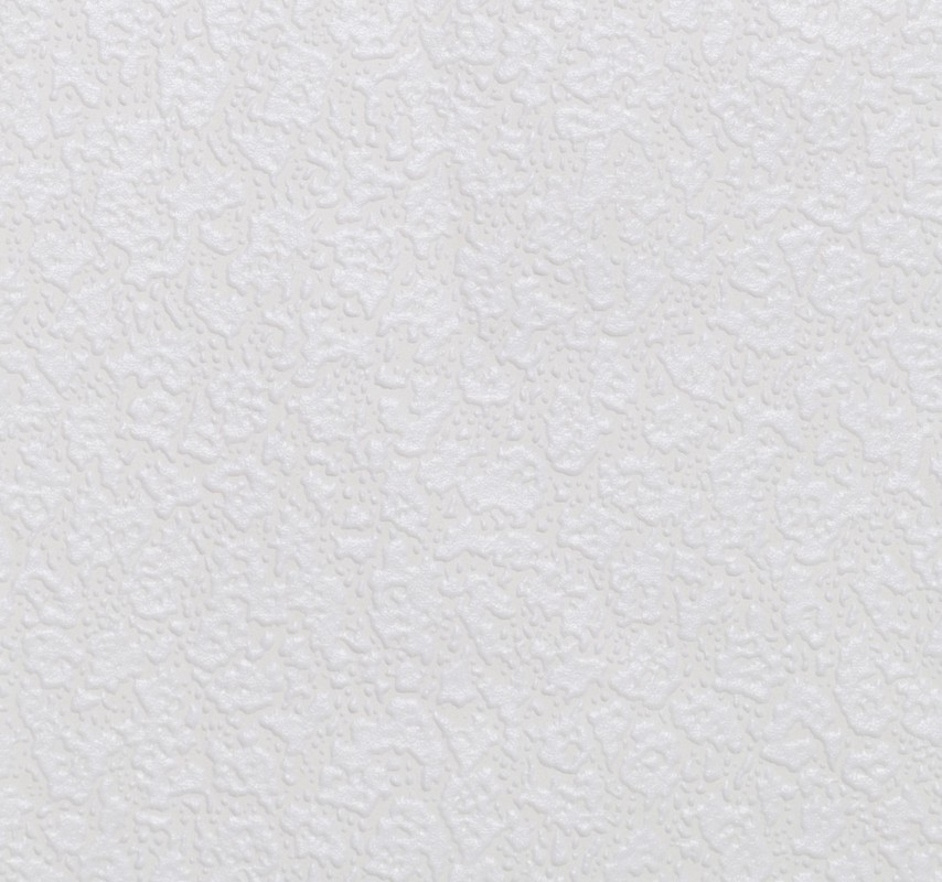 Обои HC40001-01a Palitra Home Color Нано Palitra Home Color коллекция Нано производства РОССИЯ в интернет-магазине Обоитрейд