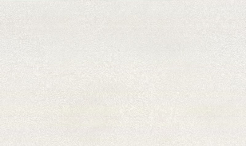 Обои 10272-02 Dieter Langer Inspiration