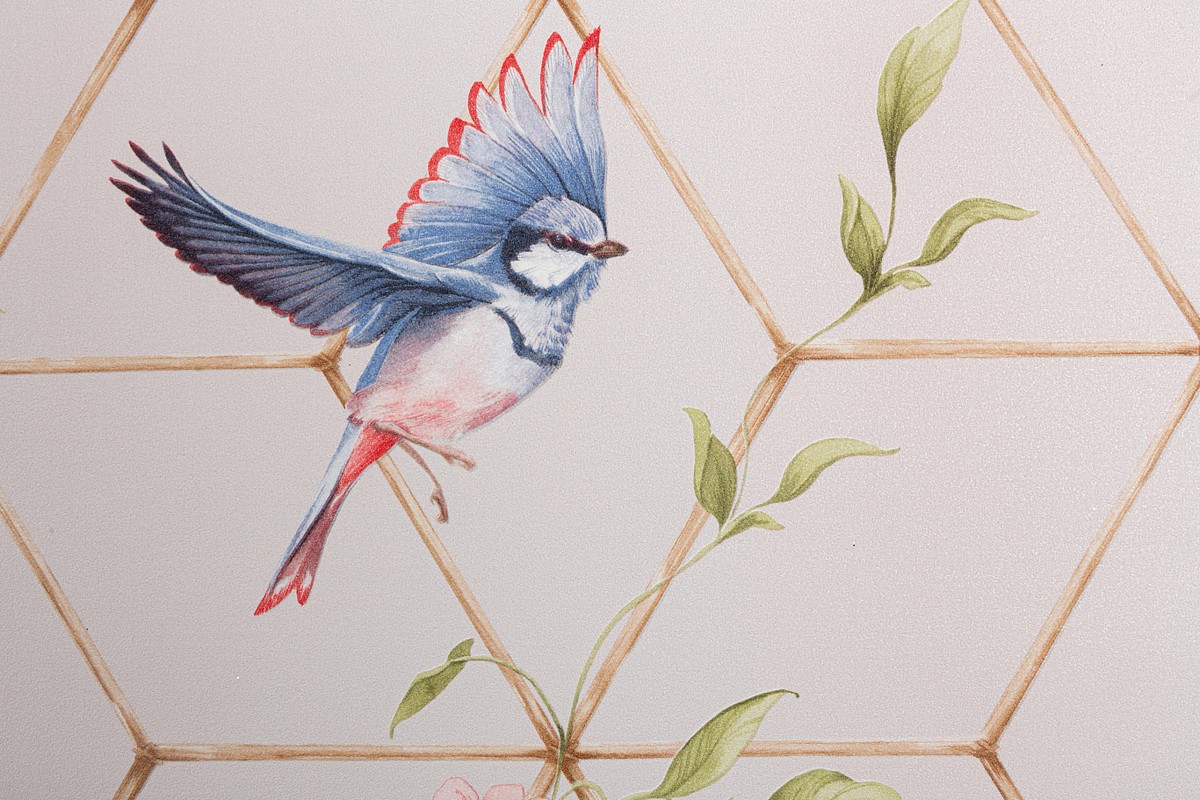 Обои TC72063-25 Palitra Trend Color Топ Вельвет Птички Palitra Trend Color коллекция Топ Вельвет Птички производства РОССИЯ в интернет-магазине Обоитрейд