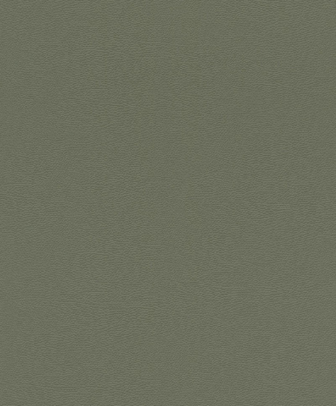 Обои 752687 Rasch African Queen 3