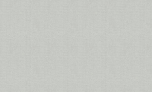 Обои W185006 Rasch Wall Up Step-Up