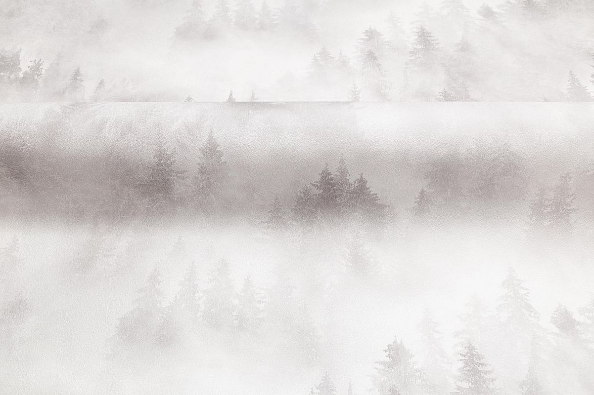 Обои HC71960-21 Palitra Home Color Мой Лес Palitra Home Color коллекция Мой Лес производства РОССИЯ в интернет-магазине Обоитрейд