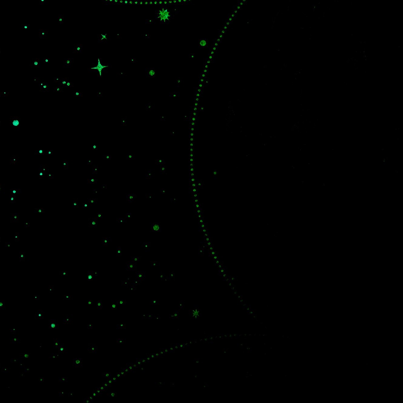 Обои HC72367-64 Palitra Home Color Вселенная Светятся в темноте! Palitra Home Color коллекция Вселенная производства РОССИЯ в интернет-магазине Обоитрейд