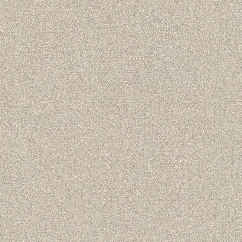 Обои 9215-02 Euro Decor Fern Euro Decor коллекция Fern производства РОССИЯ в интернет-магазине Обоитрейд