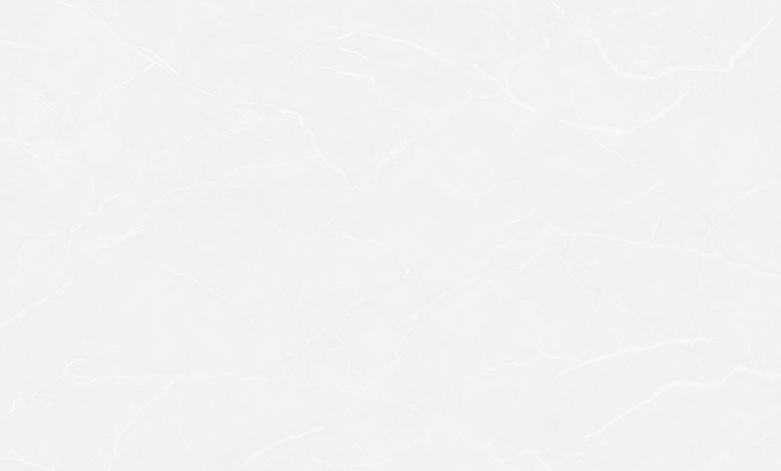 Обои W190101 Rasch Bright Whisper