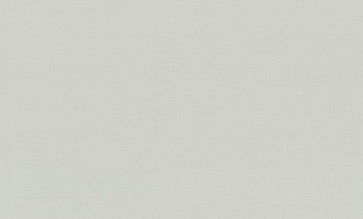 Обои 7302-24 Euro Decor Base Euro Decor коллекция Base производства РОССИЯ в интернет-магазине Обоитрейд