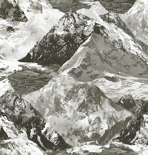 Обои 1622-3 AdaWall Anka