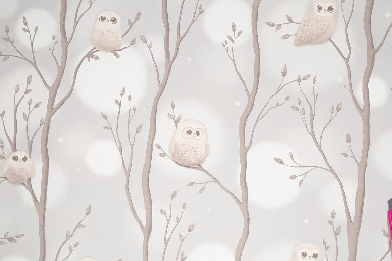 Обои HC72161-42 Palitra Home Color Мечта Palitra Home Color коллекция Мечта производства РОССИЯ в интернет-магазине Обоитрейд