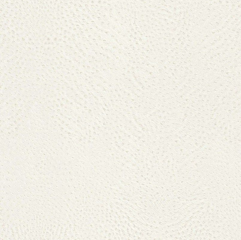 Обои 423655 Rasch African Queen