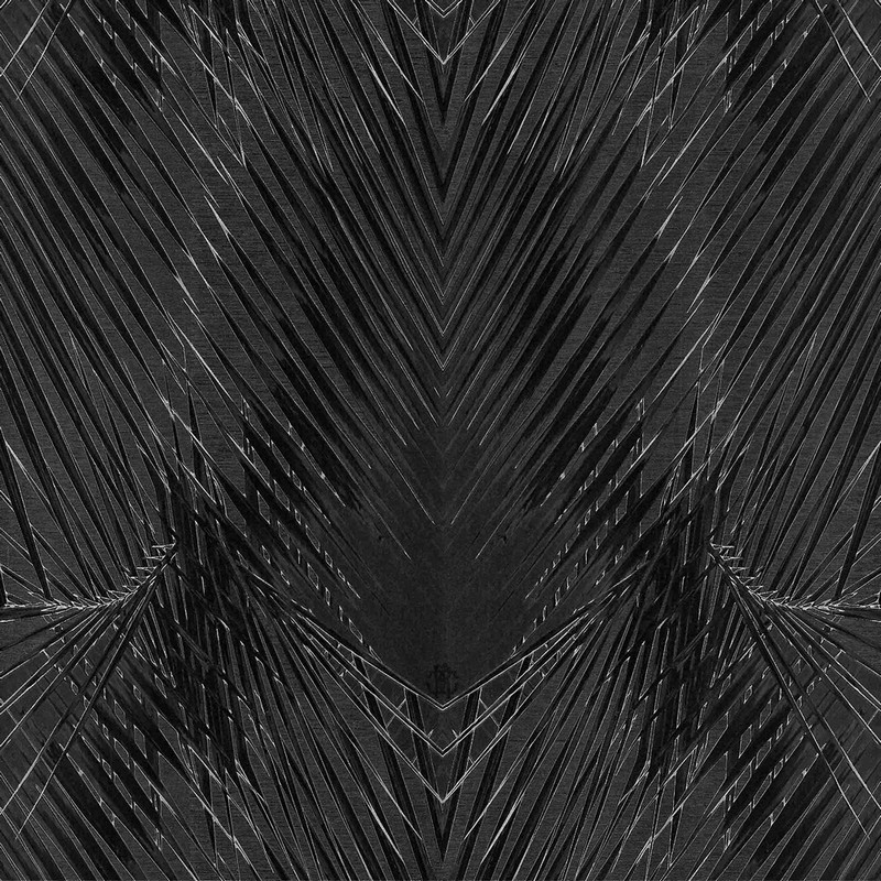 Обои RC17005 Roberto Cavalli Home 6