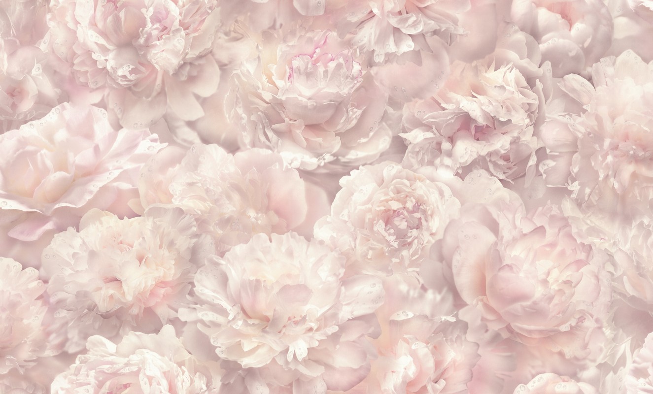 Обои HC71995-51 Palitra Home Color Пионы