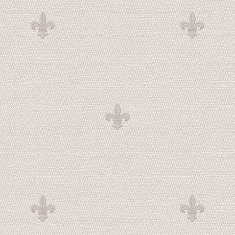 Обои 54477-8 Andrea Rossi Spectrum Just