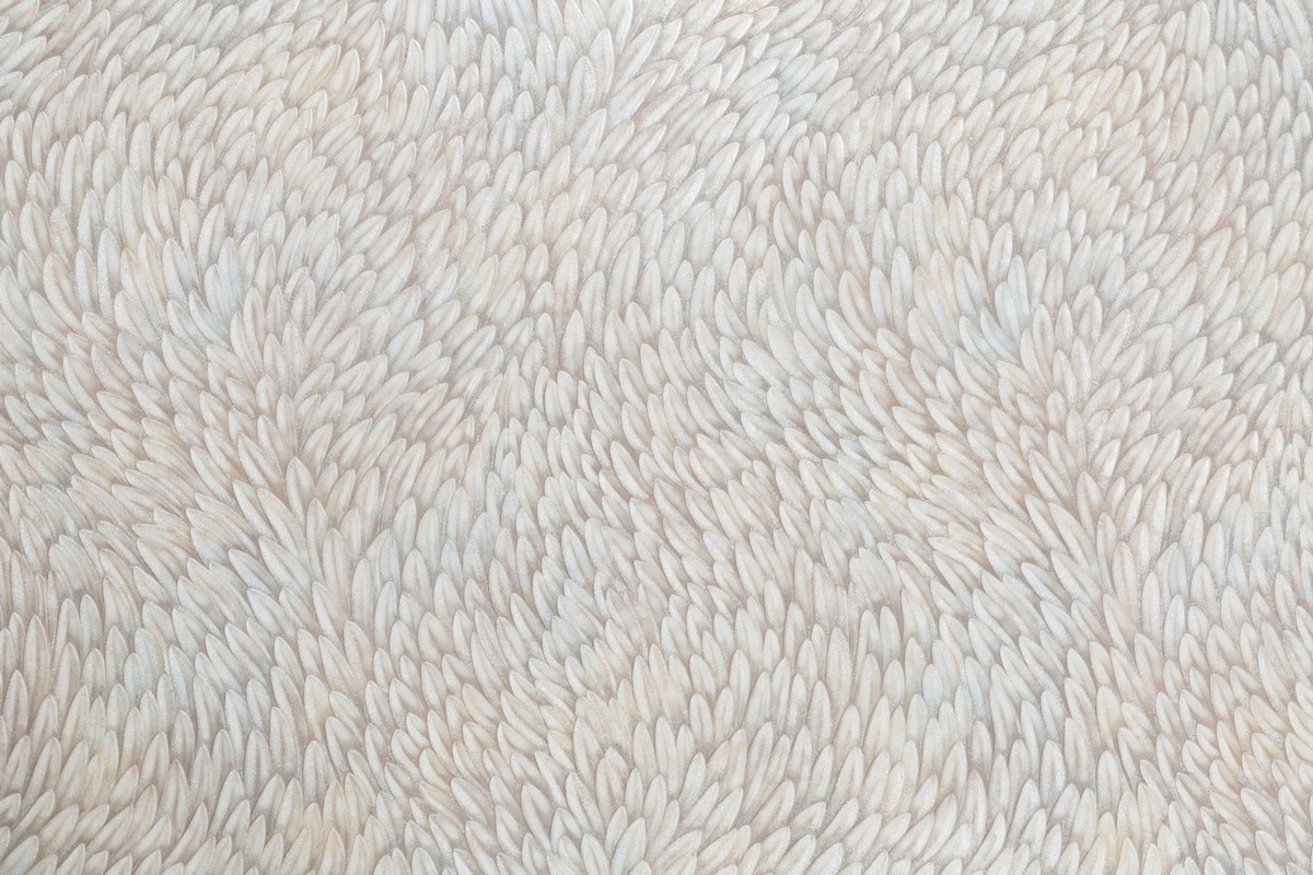 Обои PC71761-25 Palitra Prestige Color Мистерия Palitra Prestige Color коллекция Мистерия производства РОССИЯ в интернет-магазине Обоитрейд