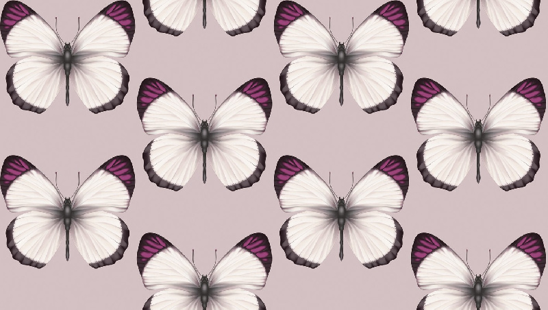 Обои 54401-7 Andrea Rossi Cheradi