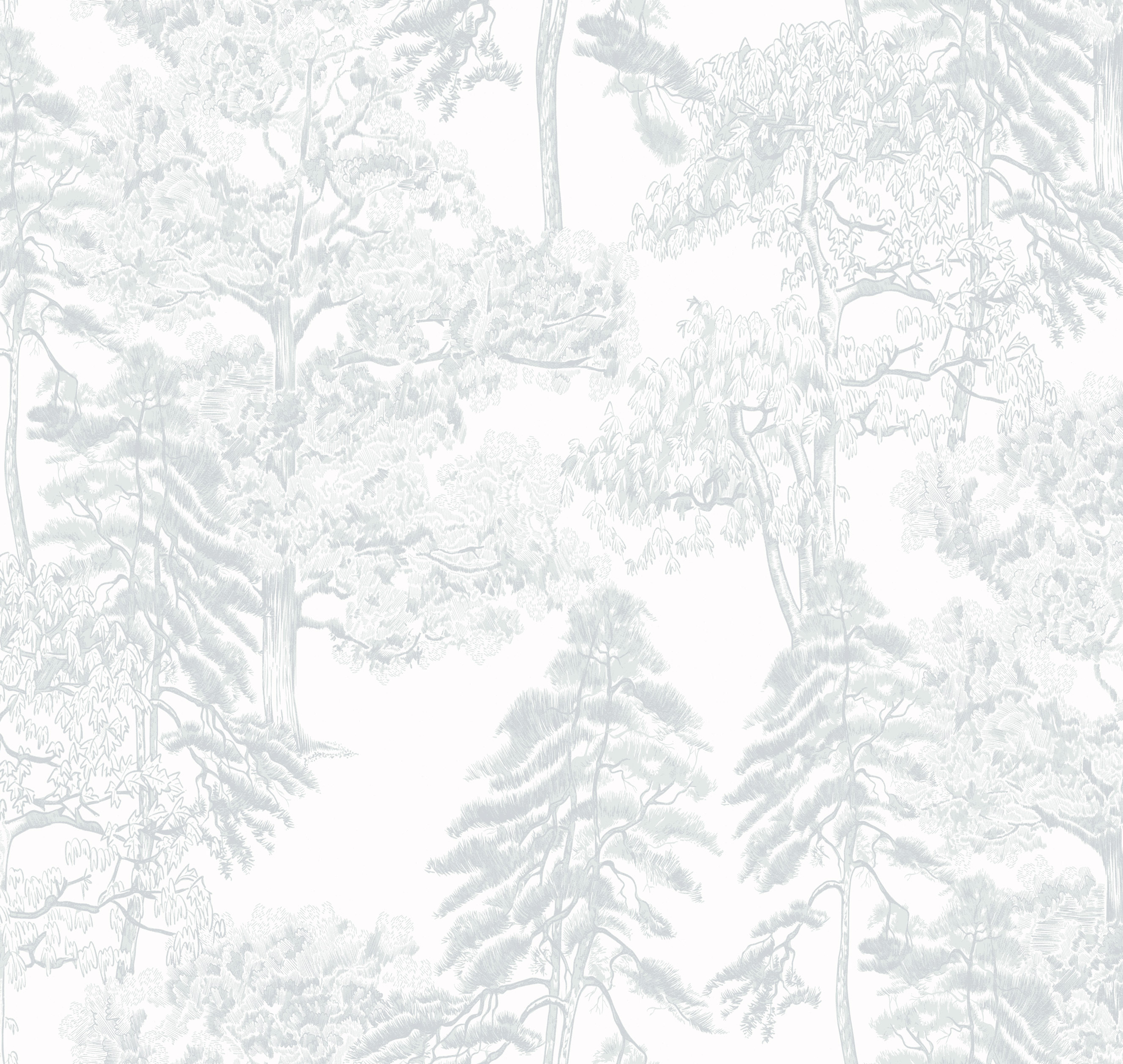 Обои AM5 001/2 Milassa Ambiplain 4 Milassa коллекция Ambiplain 4 производства  в интернет-магазине Обоитрейд