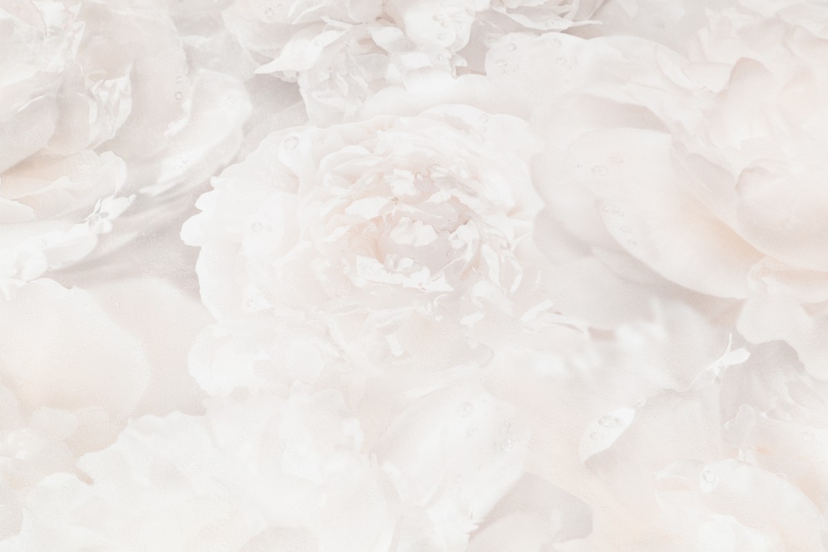 Обои HC71995-12 Palitra Home Color Пионы Palitra Home Color коллекция Пионы производства РОССИЯ в интернет-магазине Обоитрейд