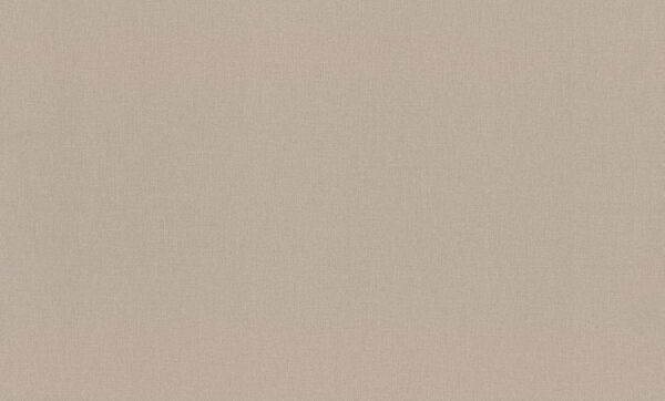 Обои 983524 Rasch Novella