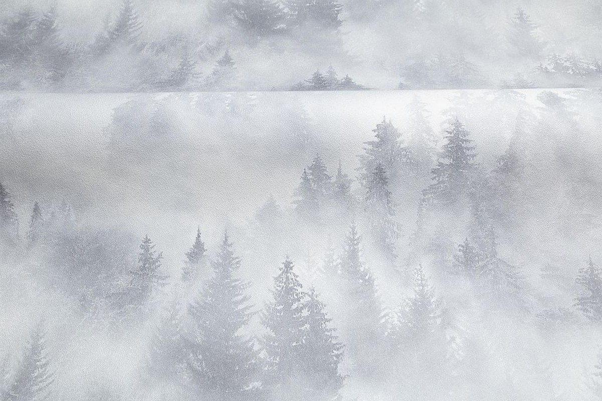 Обои HC71960-14 Palitra Home Color Мой Лес Palitra Home Color коллекция Мой Лес производства РОССИЯ в интернет-магазине Обоитрейд