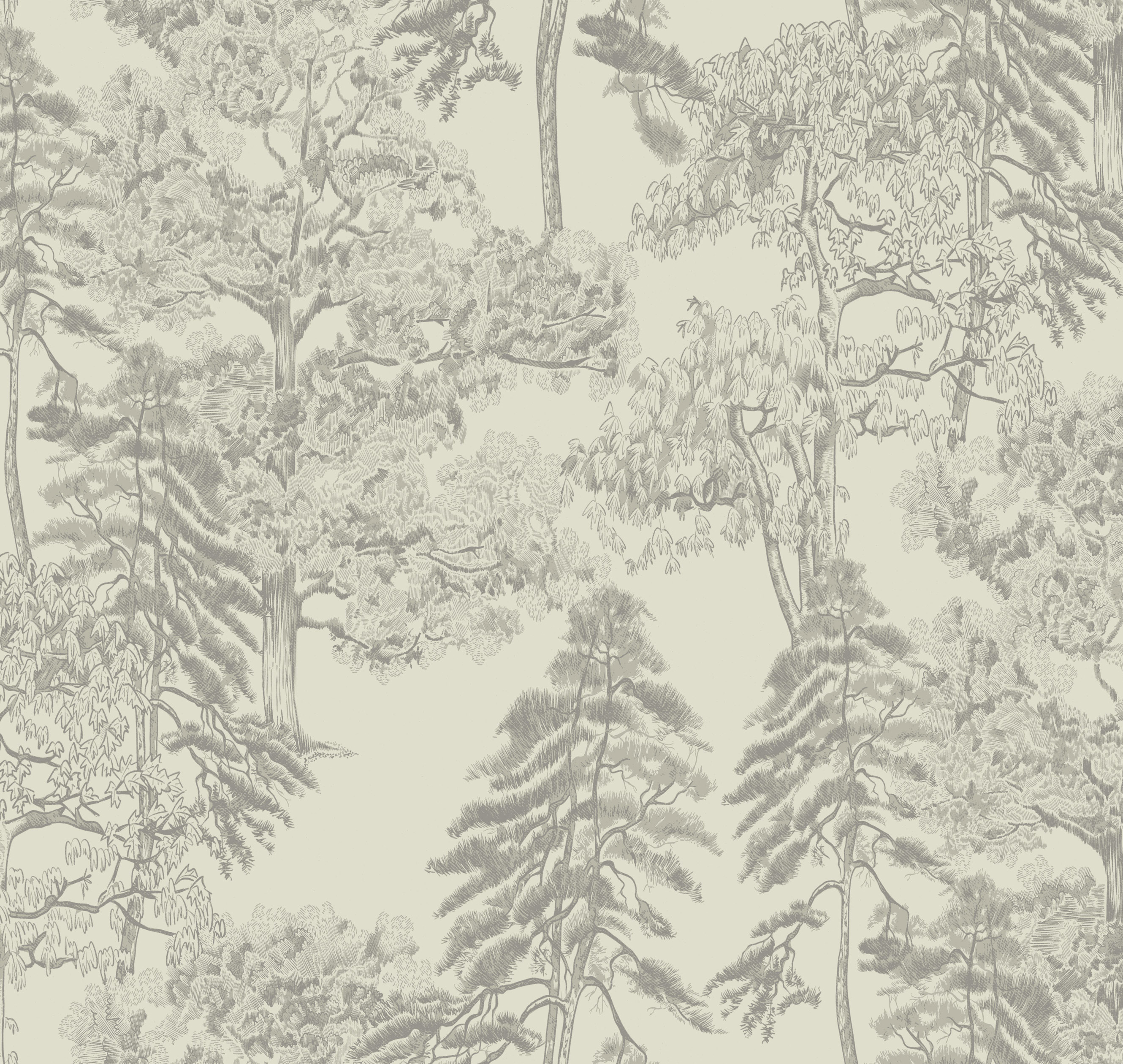 Обои AM5 001 Milassa Ambiplain 4 Milassa коллекция Ambiplain 4 производства  в интернет-магазине Обоитрейд