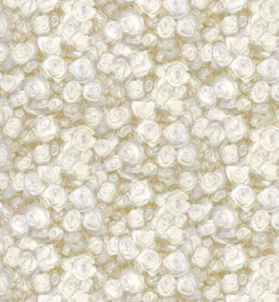 Обои BM25037 Blumarine Блюмарин №2