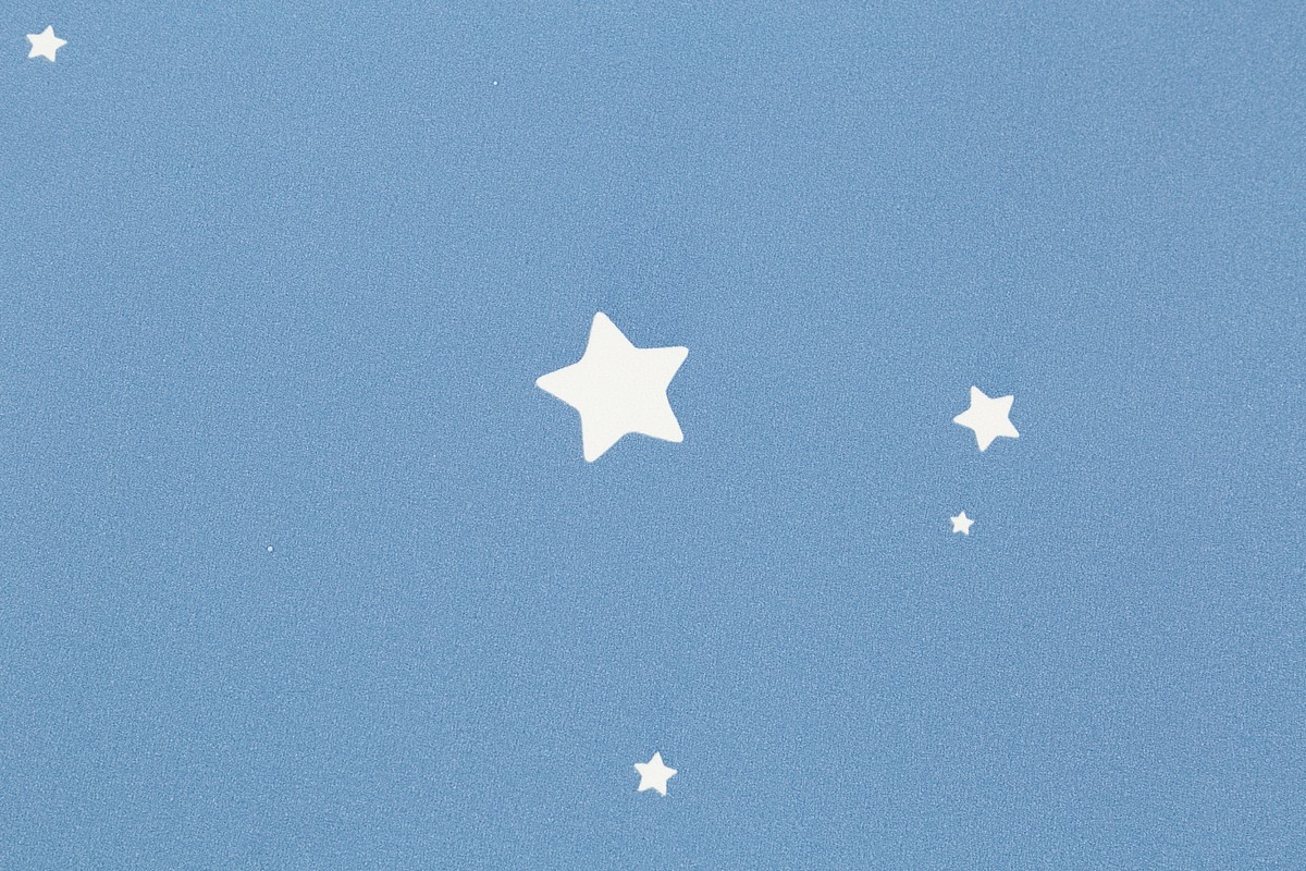 Обои HC72162-66 Palitra Home Color Мечта Palitra Home Color коллекция Мечта производства РОССИЯ в интернет-магазине Обоитрейд