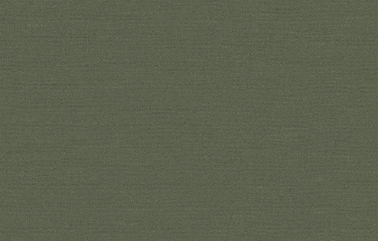 Обои BRIT31 005/3 Loymina Шервуд