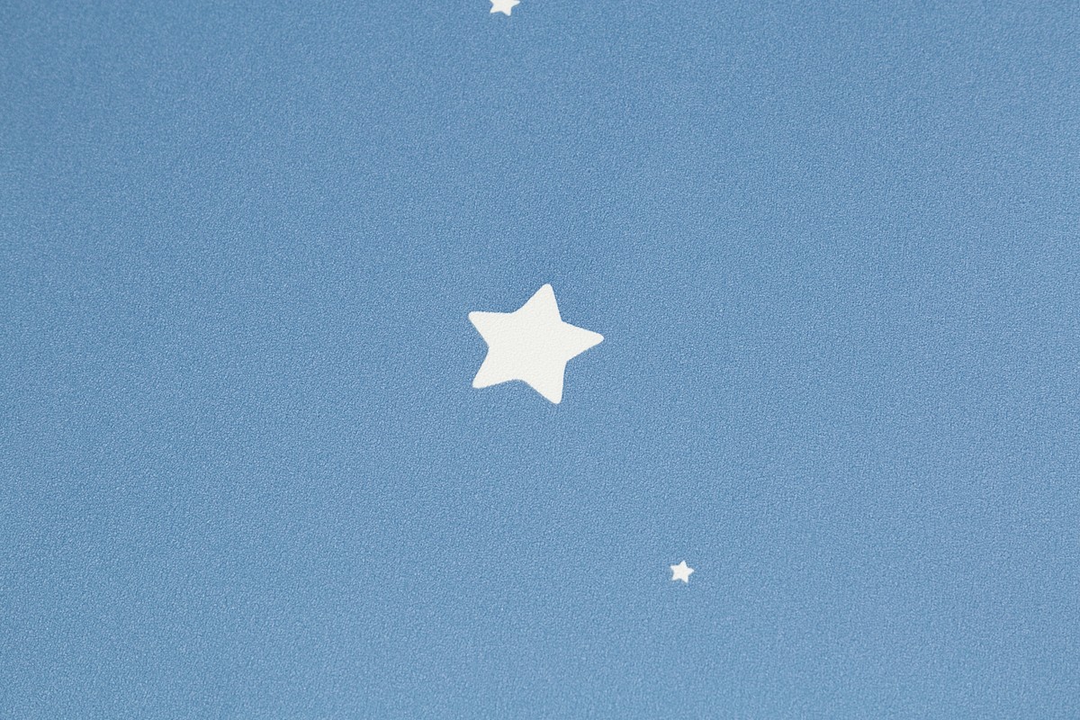 Обои HC72162-66 Palitra Home Color Мечта Palitra Home Color коллекция Мечта производства РОССИЯ в интернет-магазине Обоитрейд