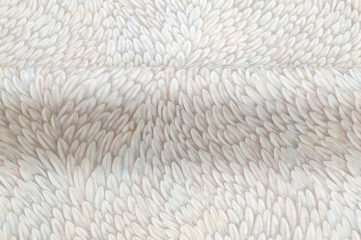 Обои PC71761-25 Palitra Prestige Color Мистерия Palitra Prestige Color коллекция Мистерия производства РОССИЯ в интернет-магазине Обоитрейд