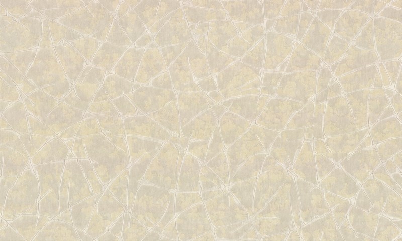 Обои 10273-03 Dieter Langer Inspiration