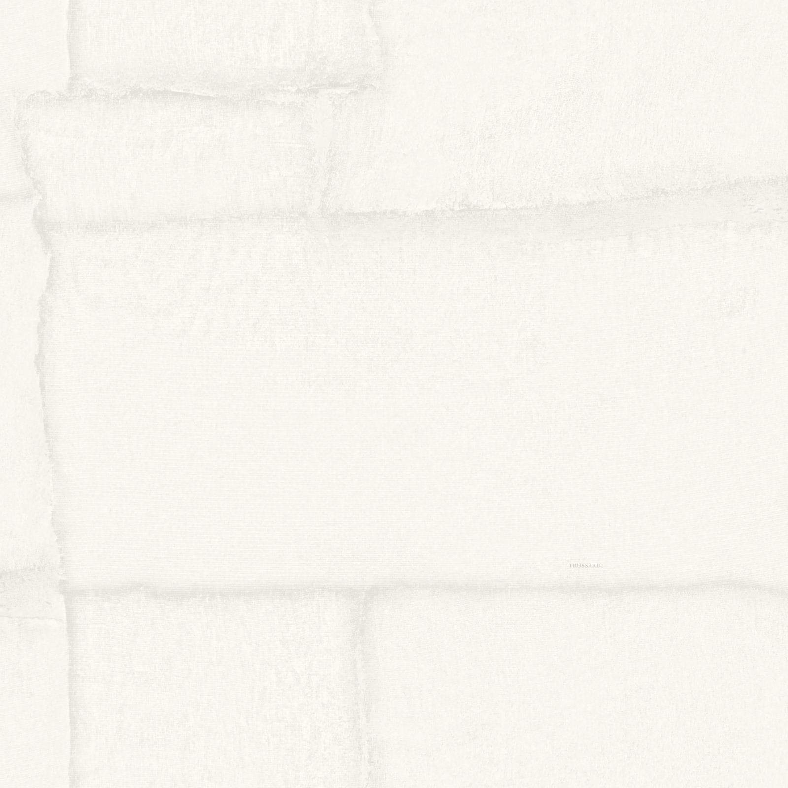 Обои Z30302 Zambaiti Parati Trussardi VIII Zambaiti Parati коллекция Trussardi 8 производства  в интернет-магазине Обоитрейд