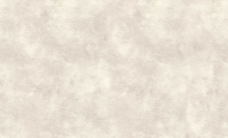 Обои 70445-22 R аспект Штукатурка