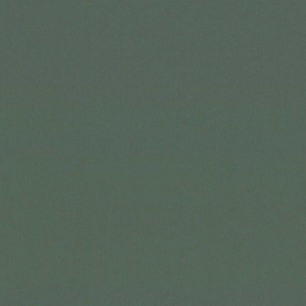 Обои TC72377-77 Palitra Trend Color Тренд Линии Palitra Trend Color коллекция Тренд Линии производства РОССИЯ в интернет-магазине Обоитрейд