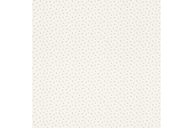 Обои 253030 Rasch Bambino XIX