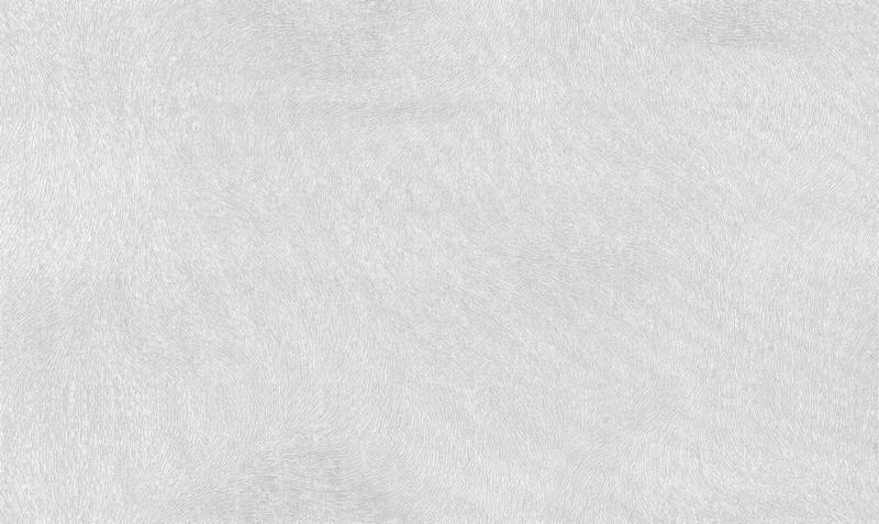 Обои 10272-03 Dieter Langer Inspiration