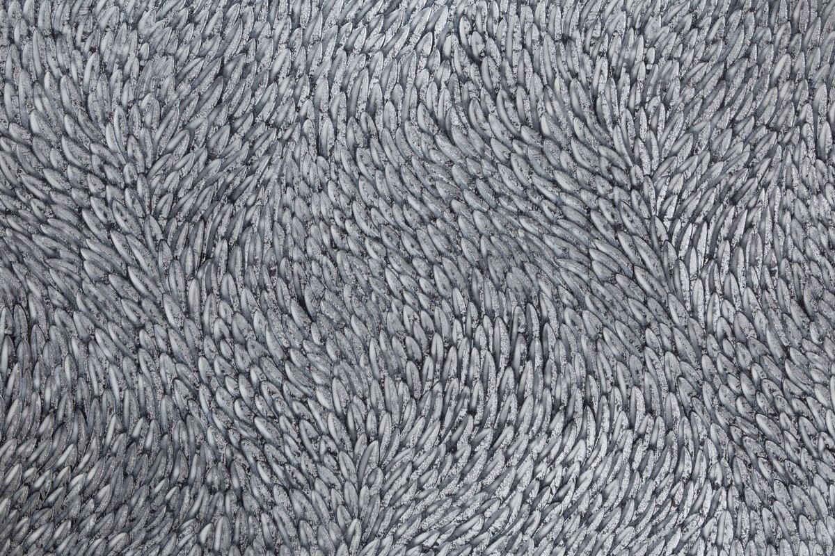 Обои PC71761-44 Palitra Prestige Color Мистерия Palitra Prestige Color коллекция Мистерия производства РОССИЯ в интернет-магазине Обоитрейд