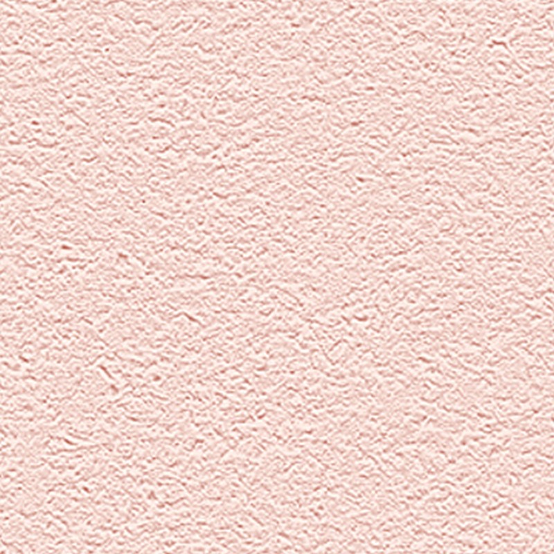 Обои R65438-10 Alessandro Allori Barbara