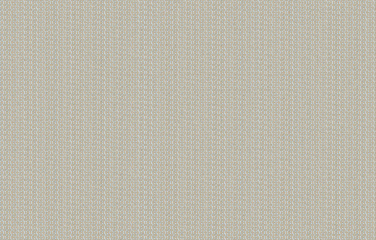 Обои DM2 006 Milassa Amsterdam