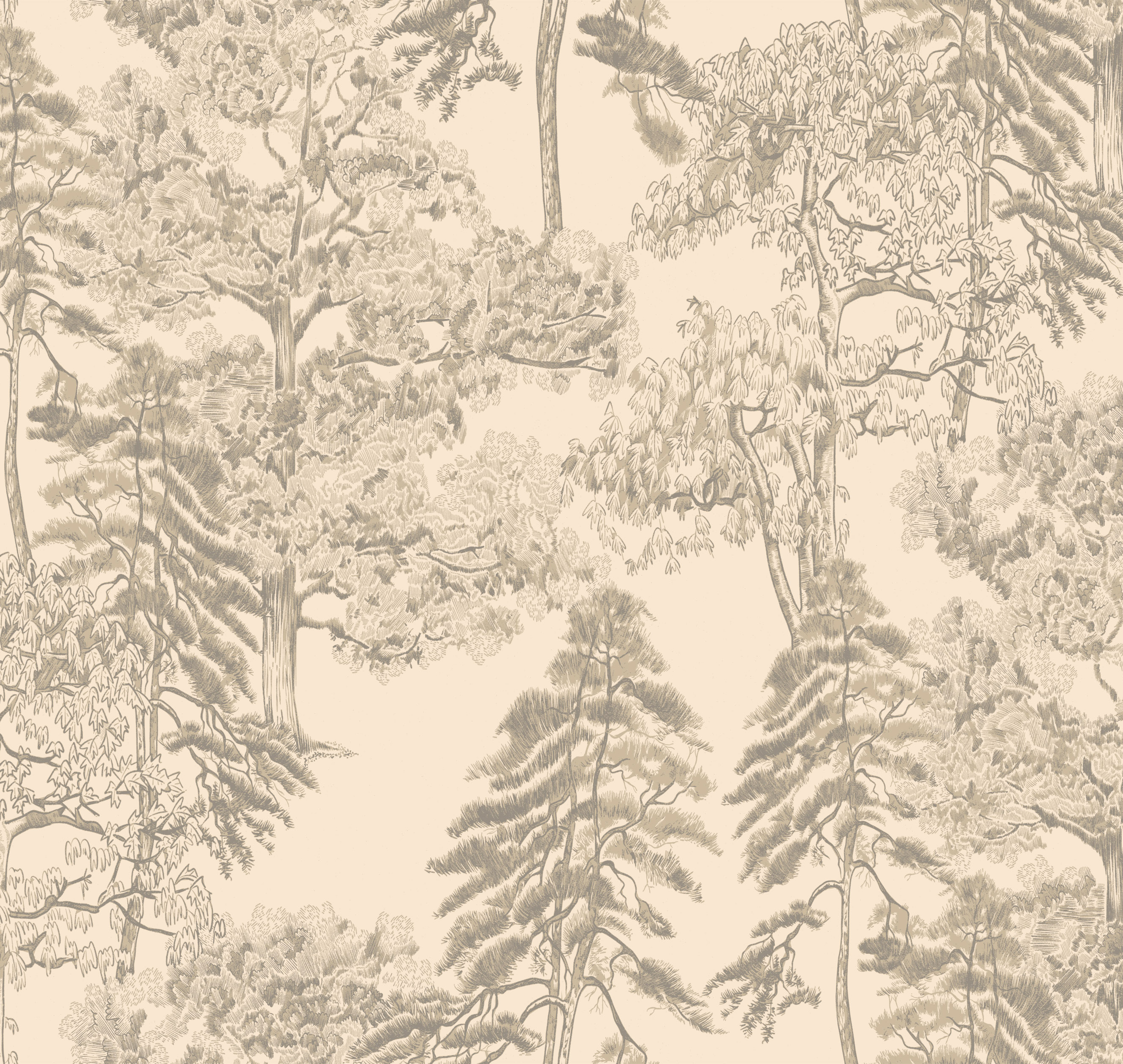 Обои AM5 002/1 Milassa Ambiplain 4 Milassa коллекция Ambiplain 4 производства  в интернет-магазине Обоитрейд