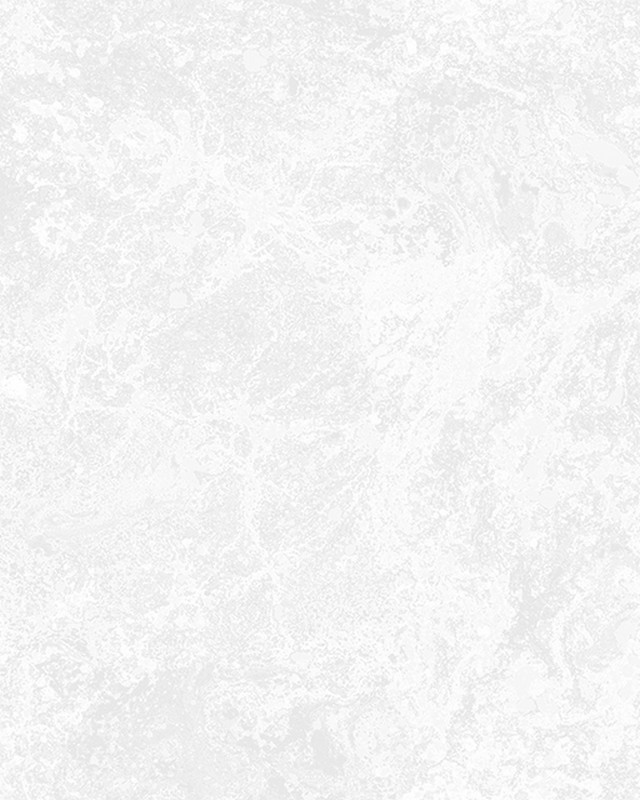 Обои AK2644 Wiganford Milenium I