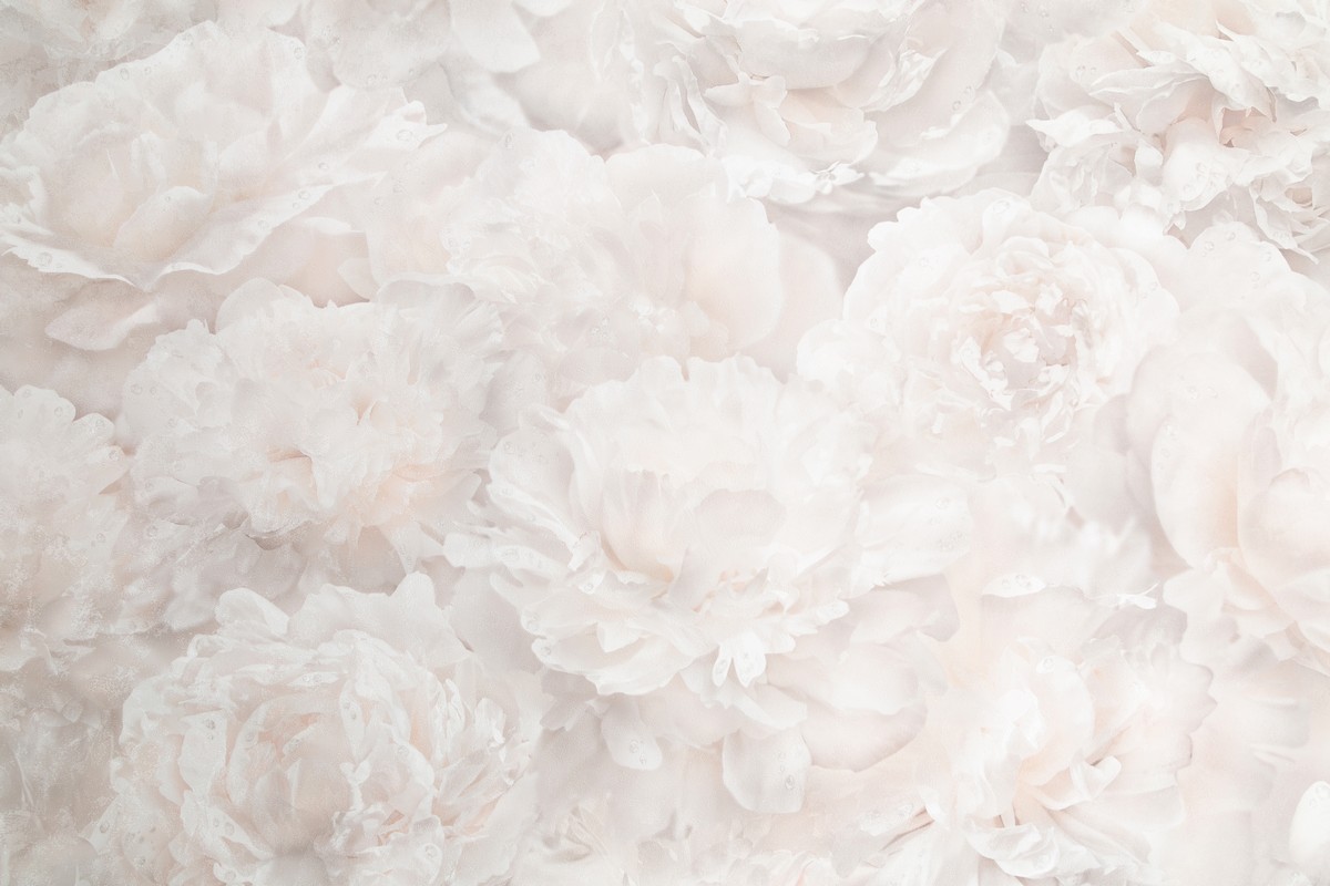 Обои HC71995-12 Palitra Home Color Пионы Palitra Home Color коллекция Пионы производства РОССИЯ в интернет-магазине Обоитрейд