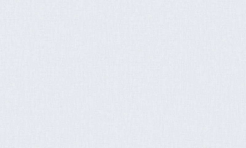 Обои VC8785-41 VOG Маноло