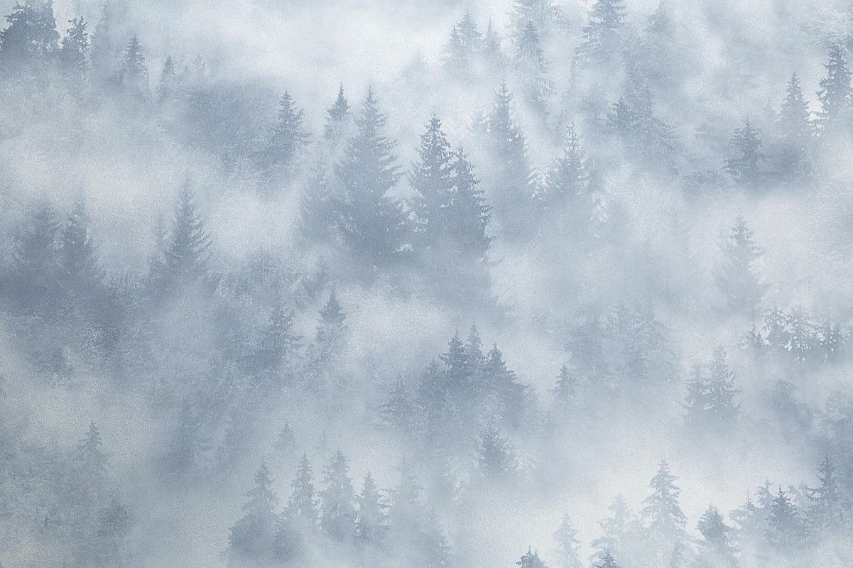 Обои HC71960-46 Palitra Home Color Мой Лес Palitra Home Color коллекция Мой Лес производства РОССИЯ в интернет-магазине Обоитрейд