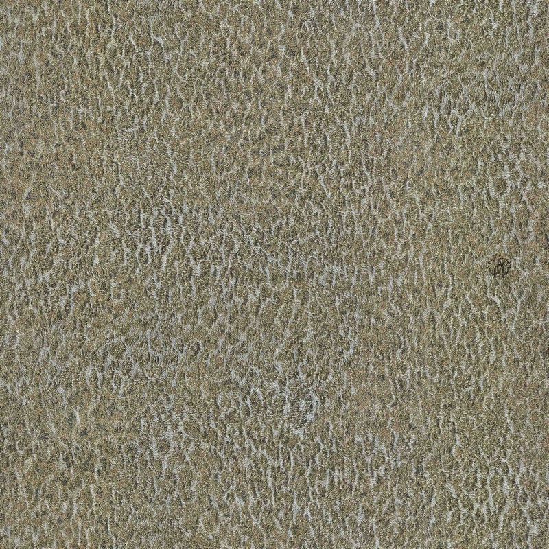 Обои RC17086 Roberto Cavalli Home 6