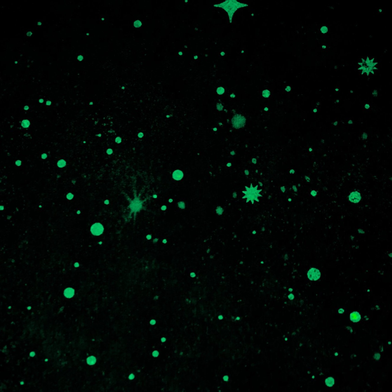 Обои HC72368-11 Palitra Home Color Вселенная Светятся в темноте! Palitra Home Color коллекция Вселенная производства РОССИЯ в интернет-магазине Обоитрейд