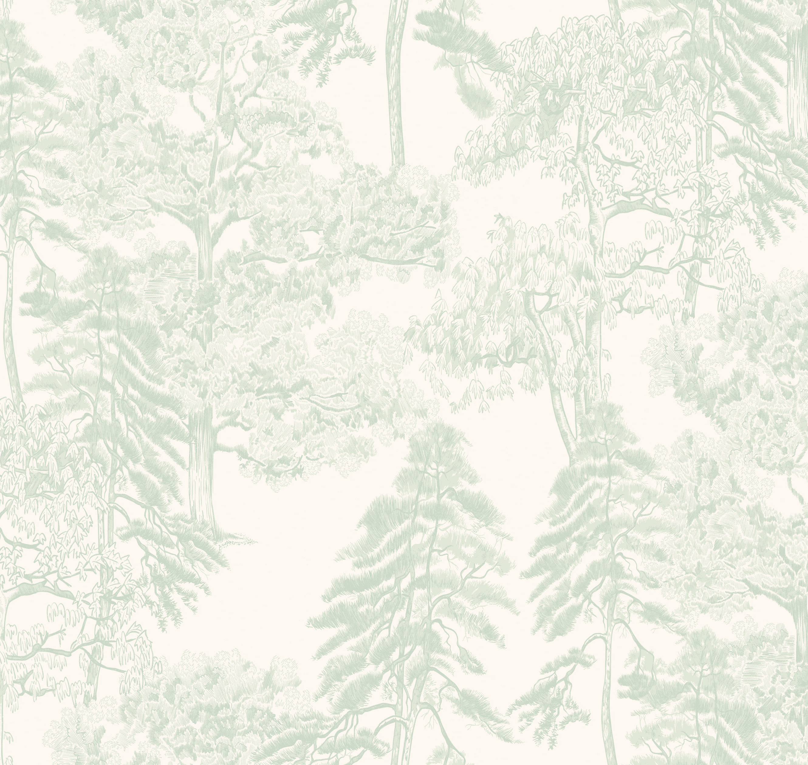 Обои AM5 008/1 Milassa Ambiplain 4 Milassa коллекция Ambiplain 4 производства  в интернет-магазине Обоитрейд