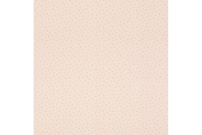 Обои 253047 Rasch Bambino XIX