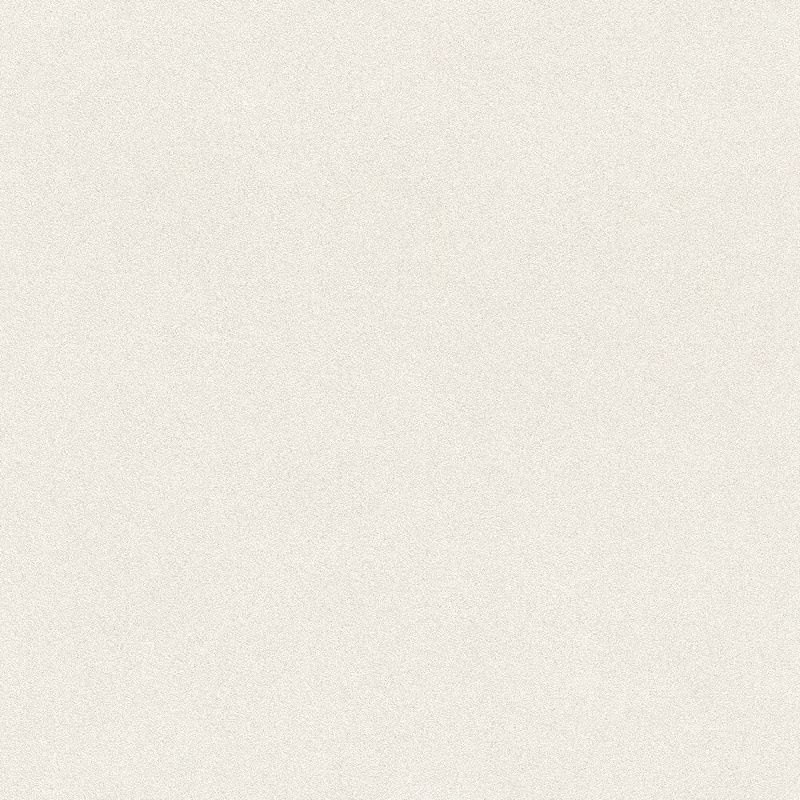 Обои 607239 Rasch Passepartout