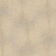 Обои 7235-02 Euro Decor Bengal Euro Decor коллекция Bengal производства РОССИЯ в интернет-магазине Обоитрейд